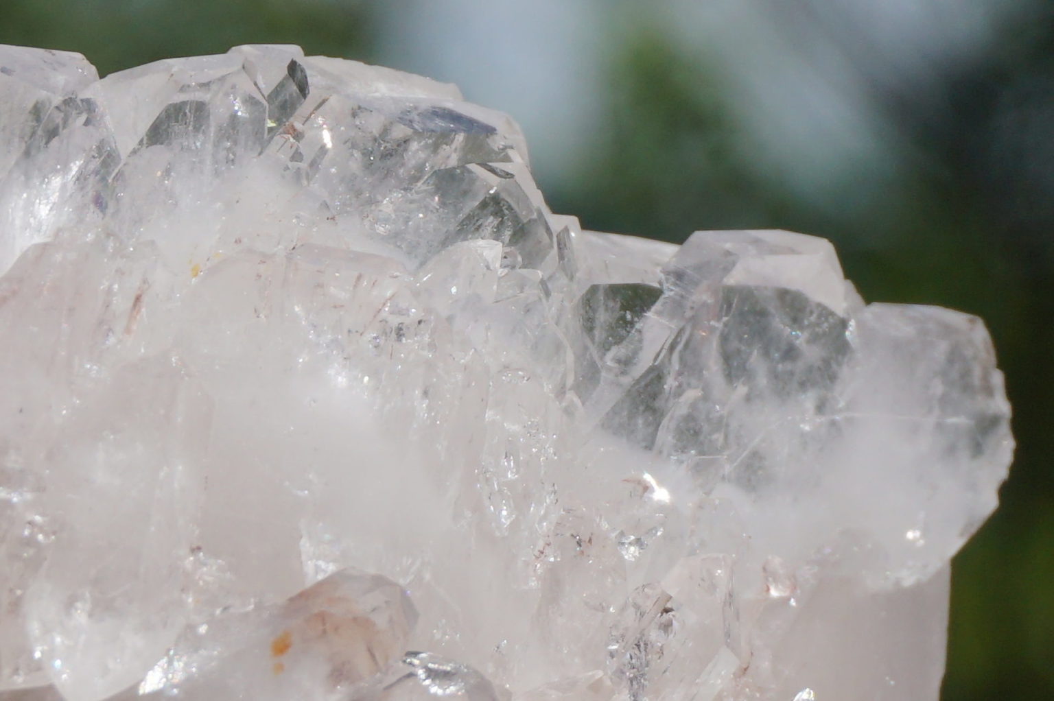 colombia-pink-lemurain15