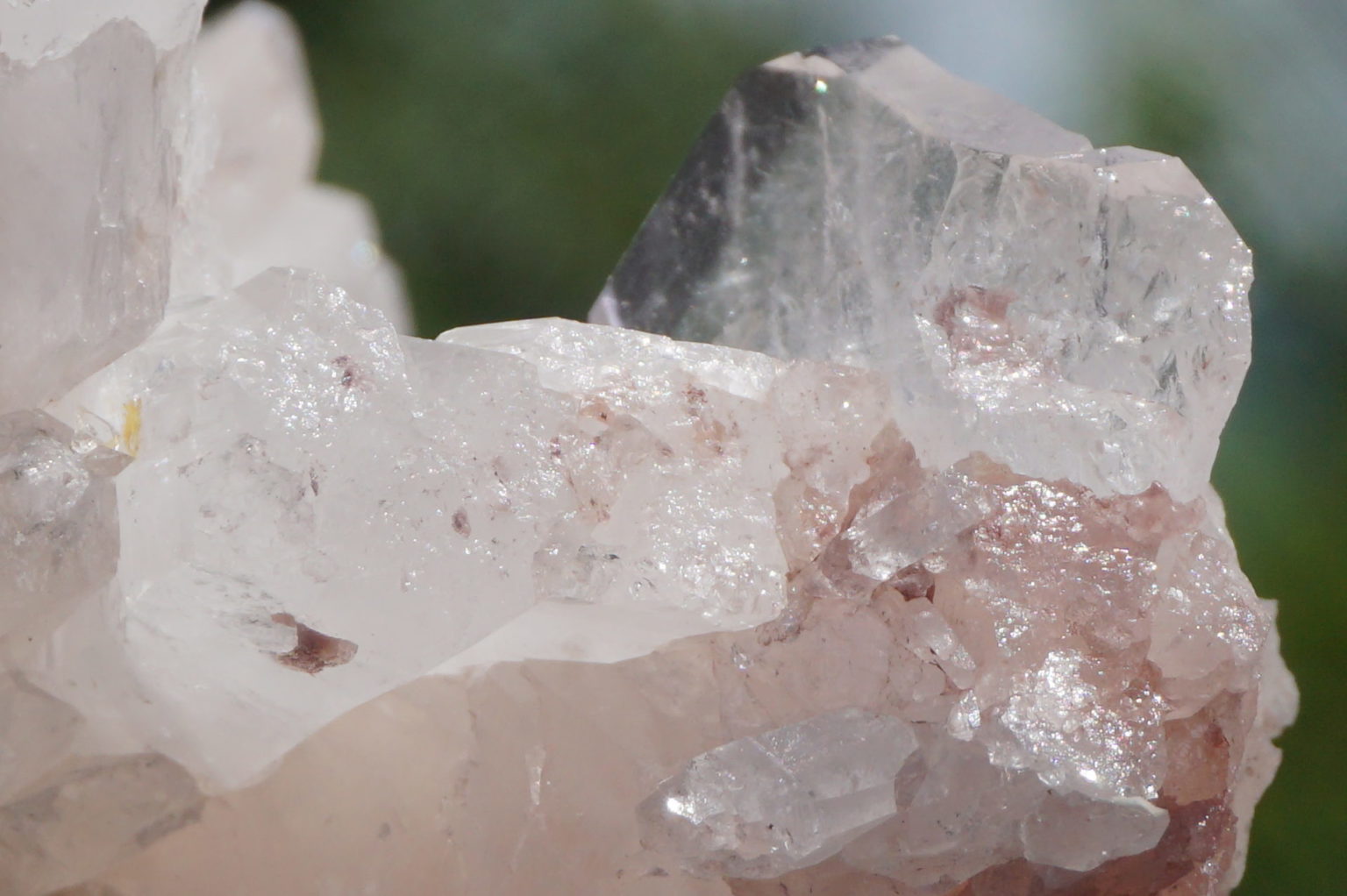 colombia-pink-lemurain15