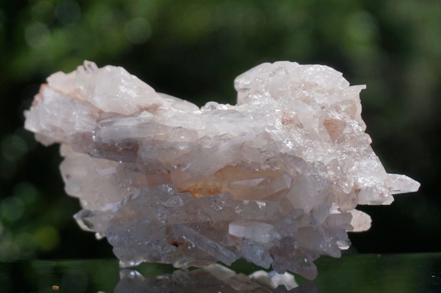 colombia-pink-lemurain15