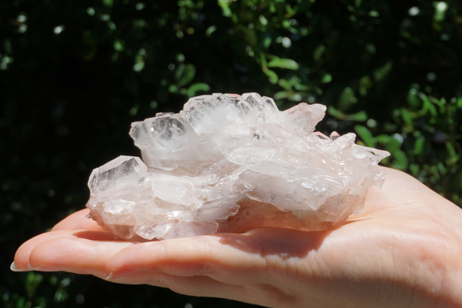 colombia-pink-lemurain15