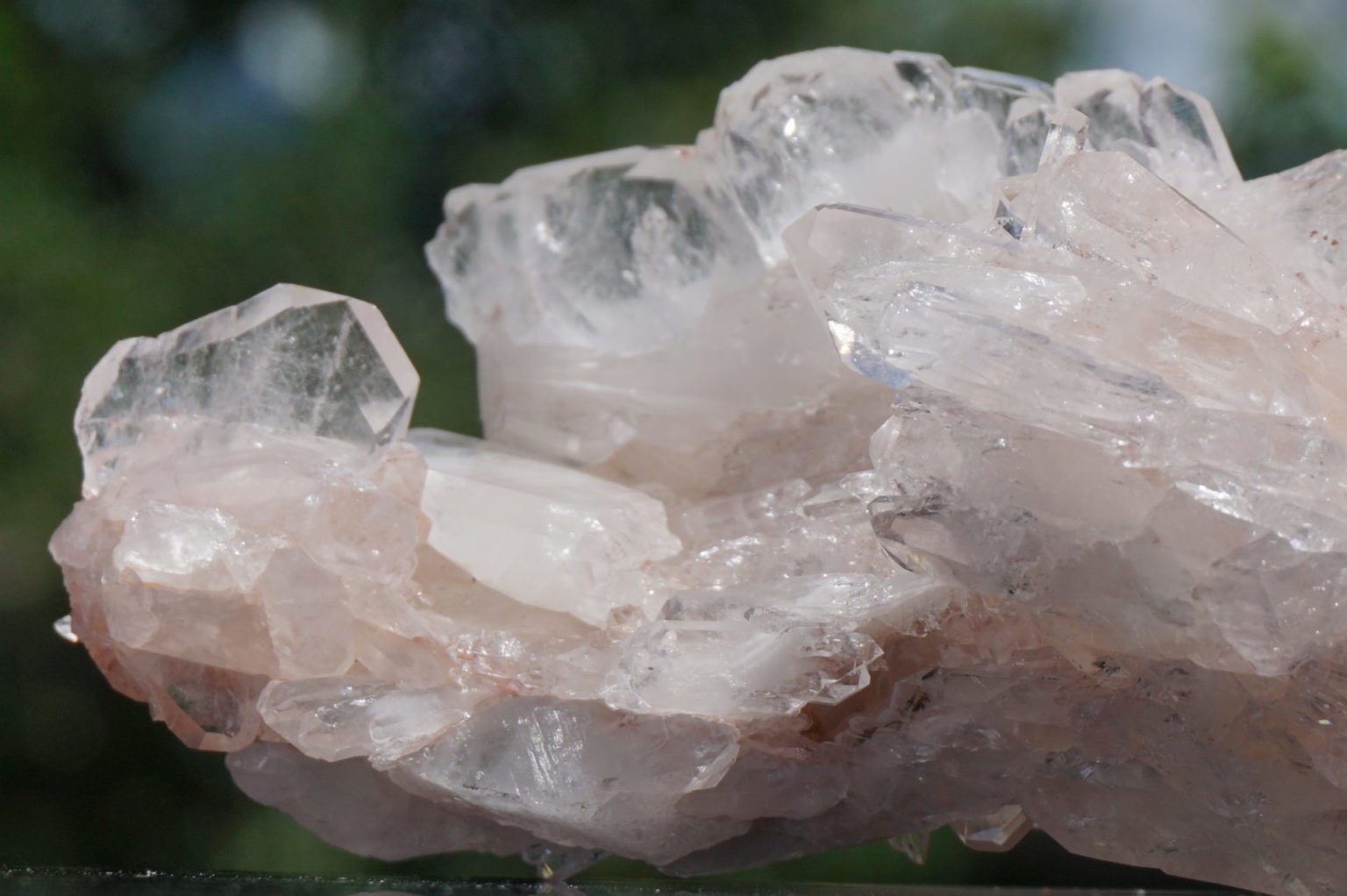 colombia-pink-lemurain15