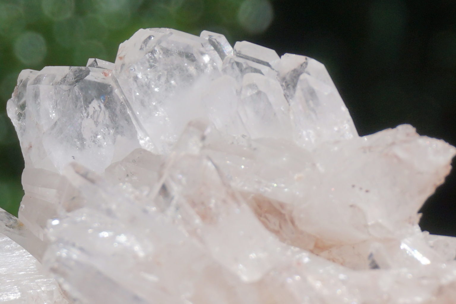 colombia-pink-lemurain15