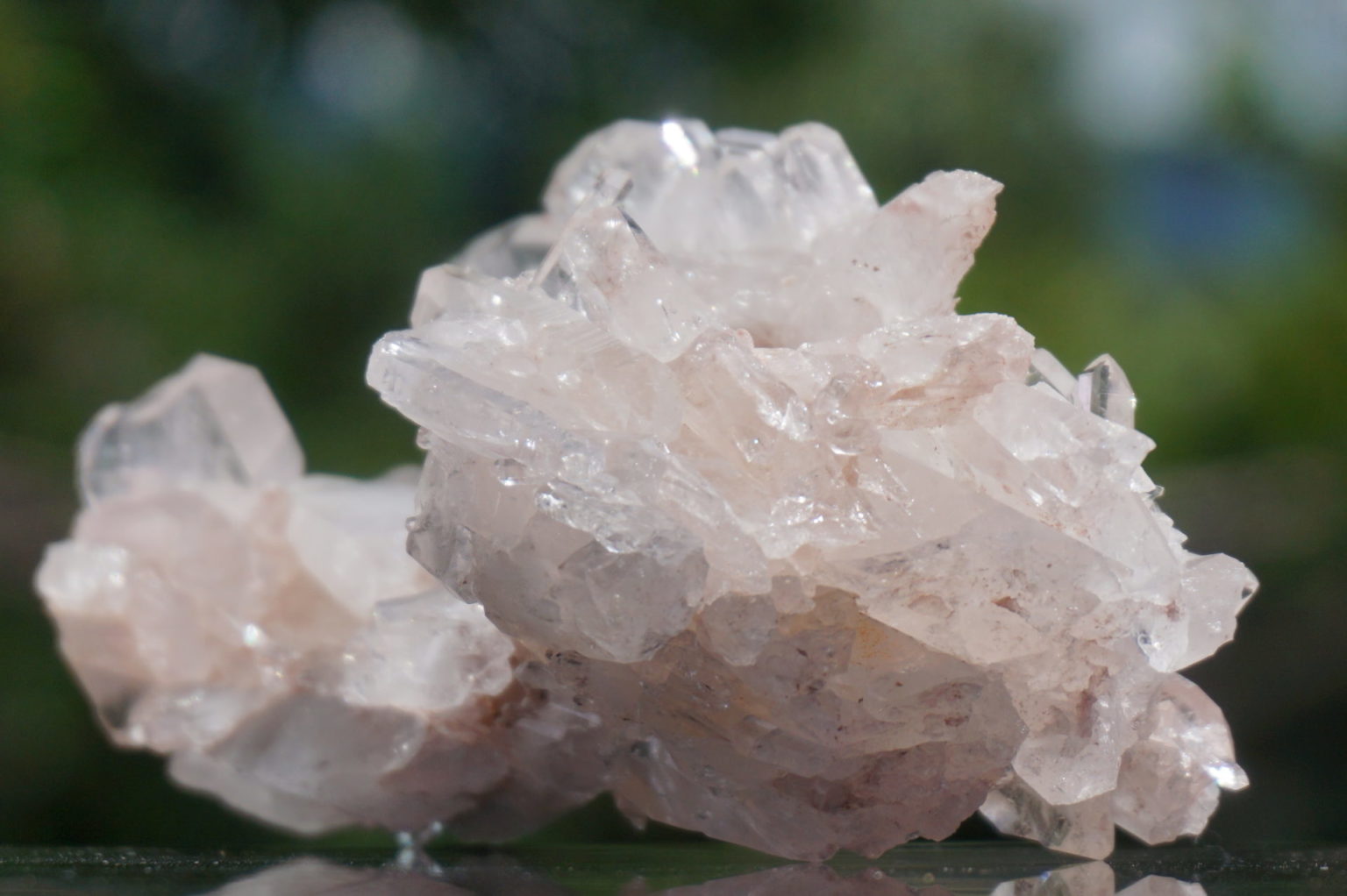 colombia-pink-lemurain15