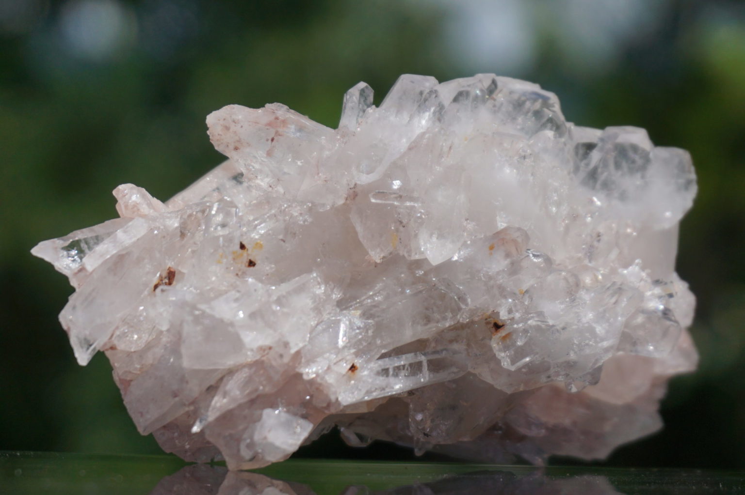 colombia-pink-lemurain15