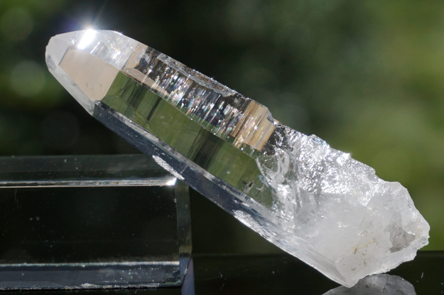 muzo-columbia-lemurain45