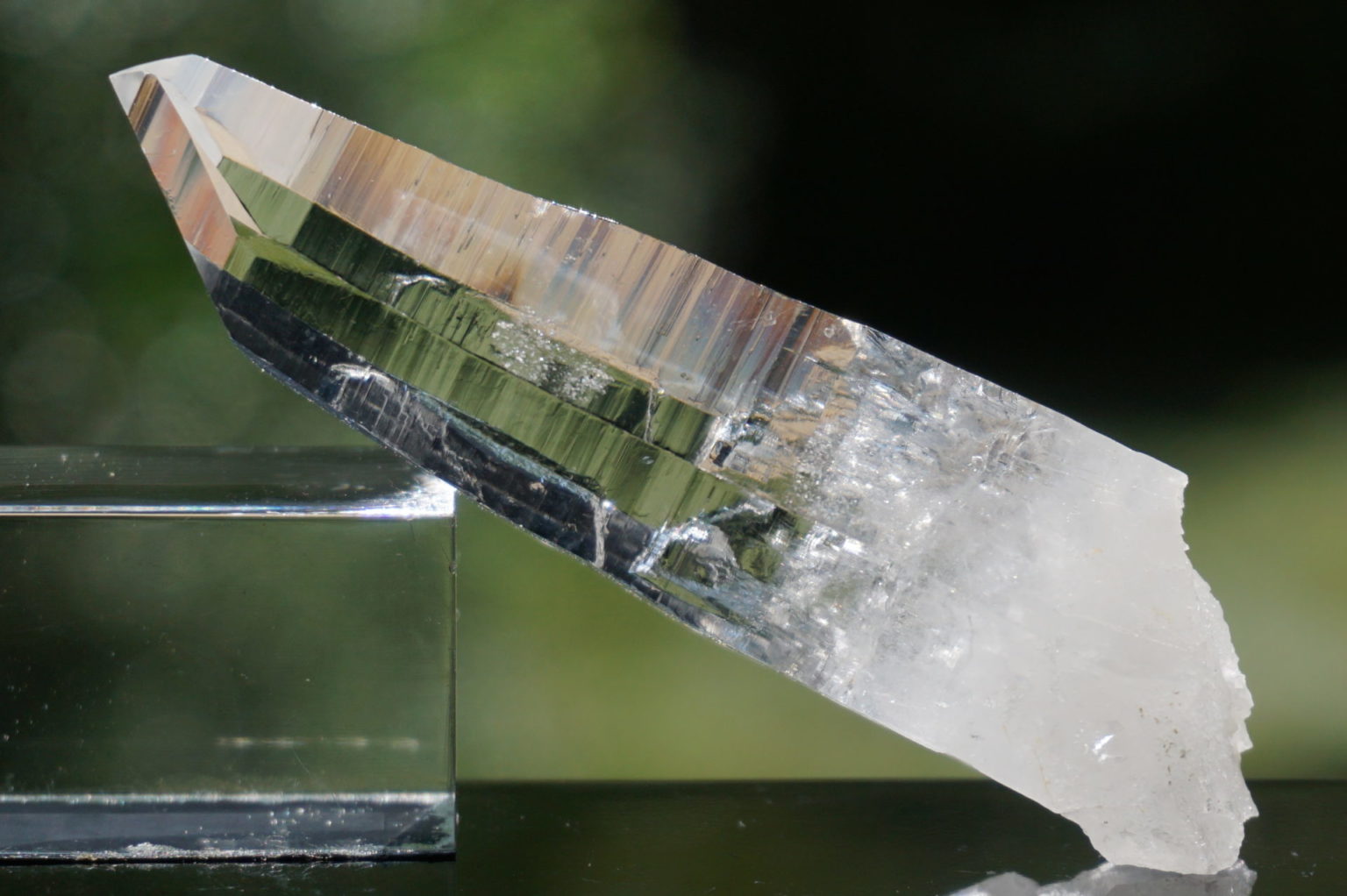 muzo-columbia-lemurain45