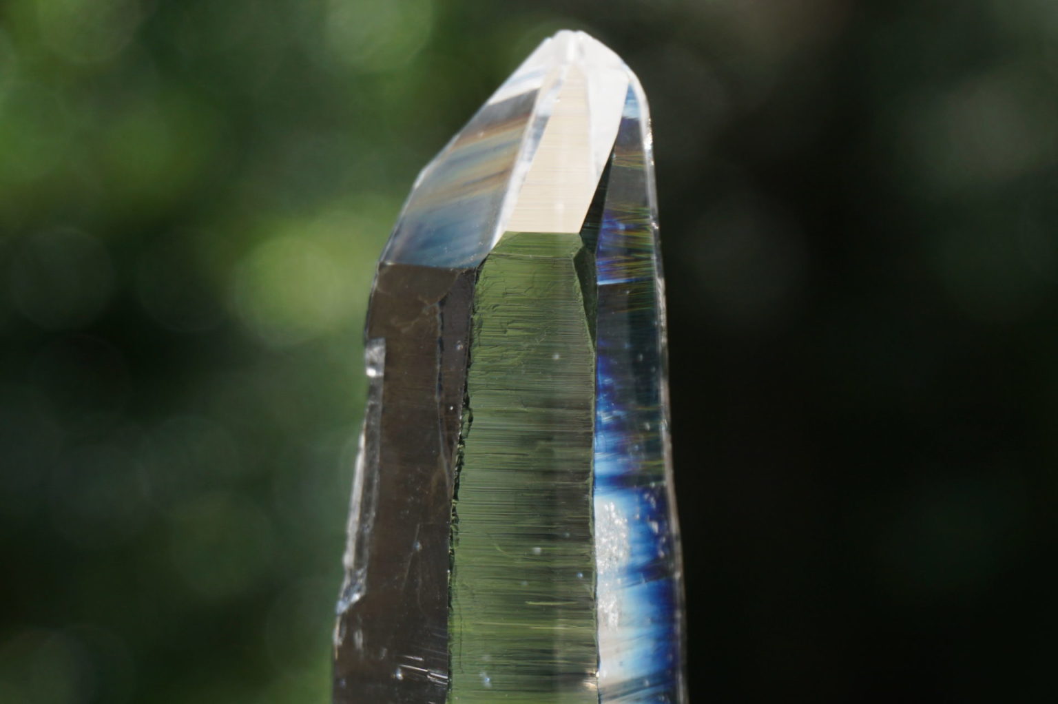 muzo-columbia-lemurain45