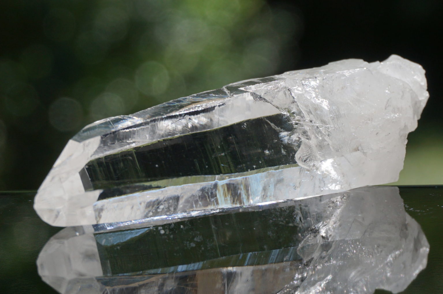 muzo-columbia-lemurain45