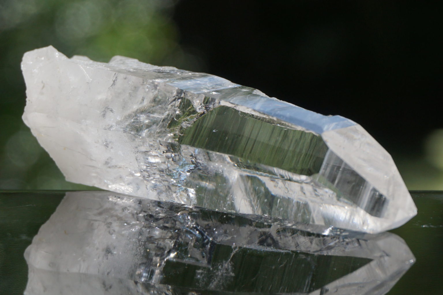 muzo-columbia-lemurain45