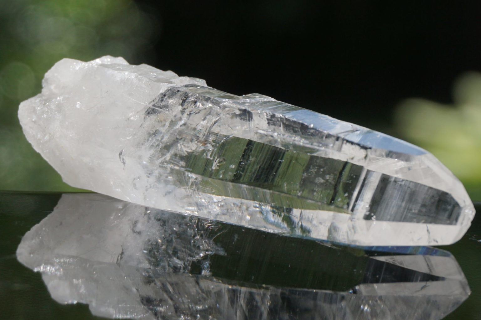 muzo-columbia-lemurain45