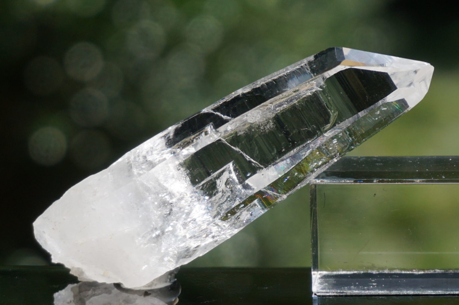 muzo-columbia-lemurain45