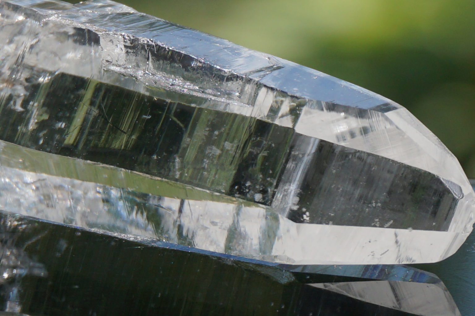 muzo-columbia-lemurain45