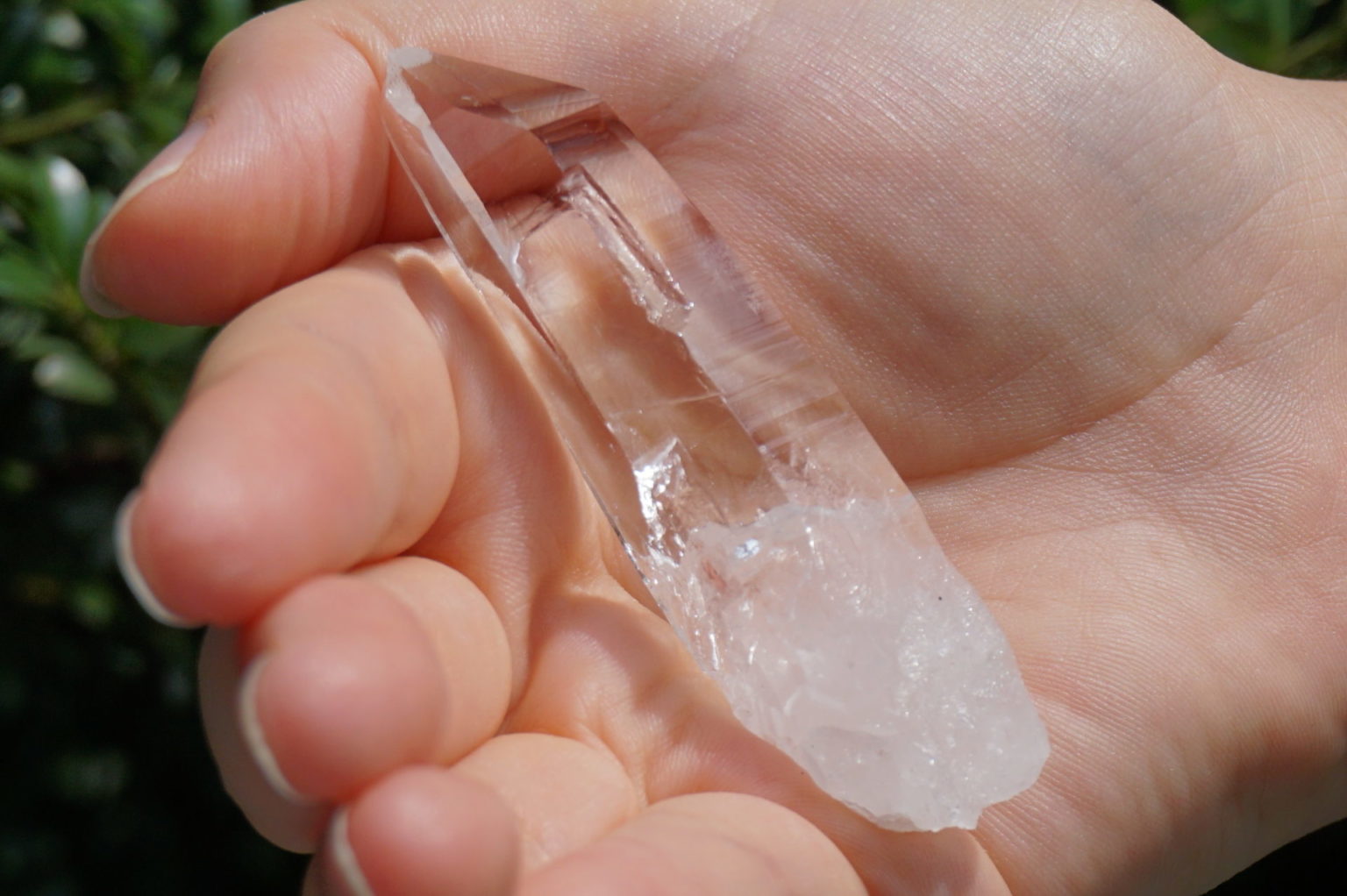 muzo-columbia-lemurain45