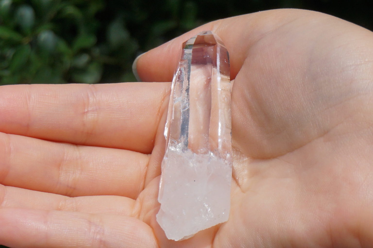 muzo-columbia-lemurain45