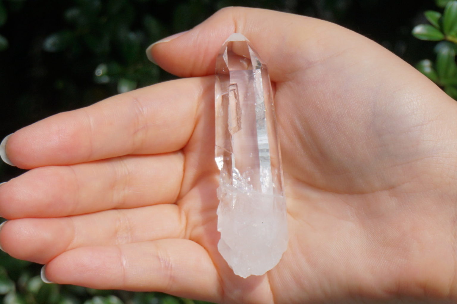 muzo-columbia-lemurain45