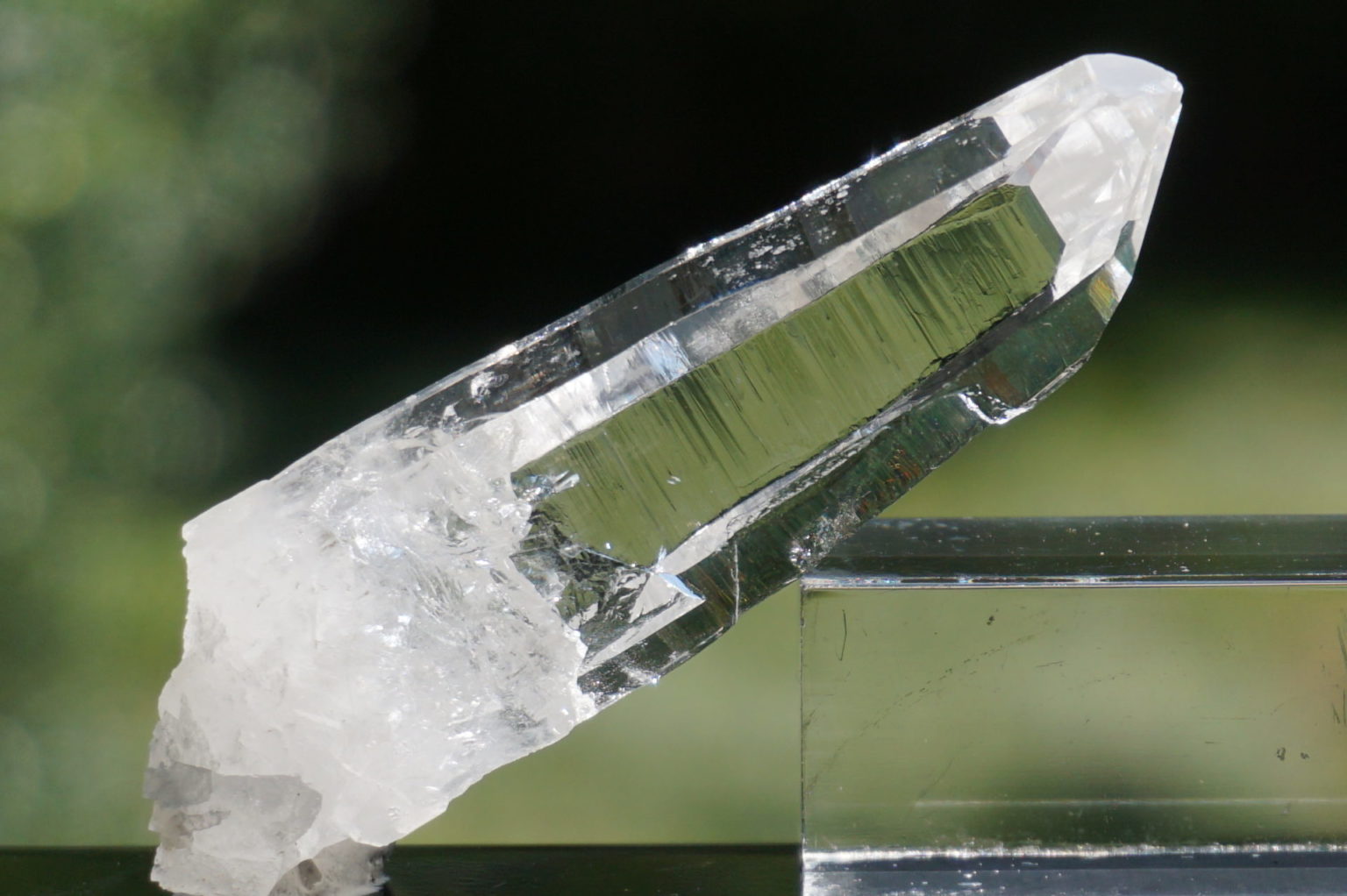 muzo-columbia-lemurain45