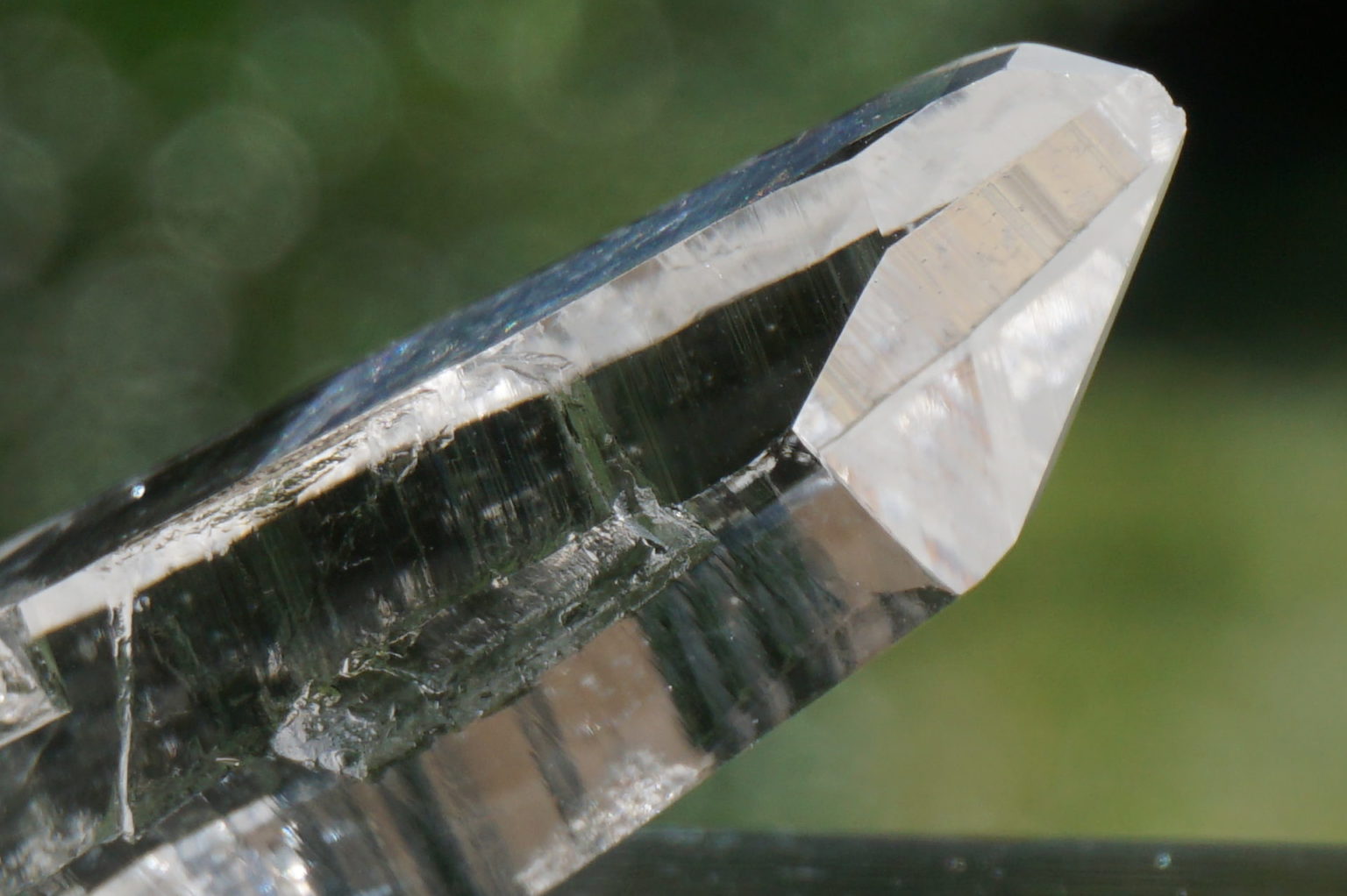 muzo-columbia-lemurain45