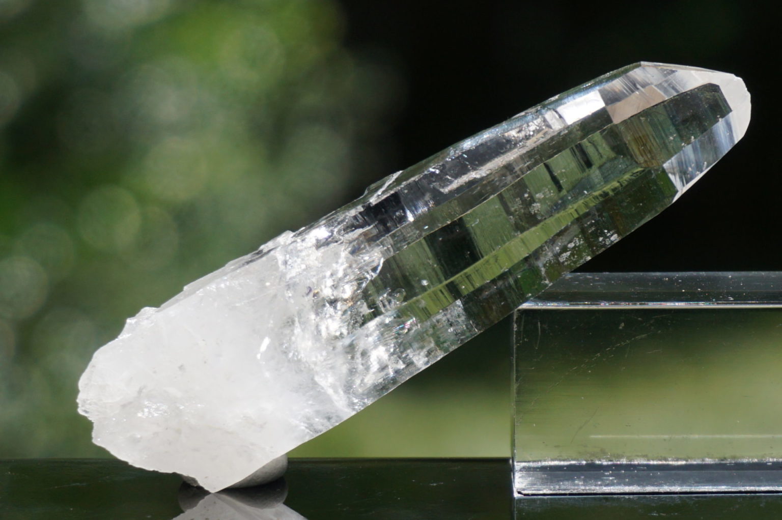 muzo-columbia-lemurain45