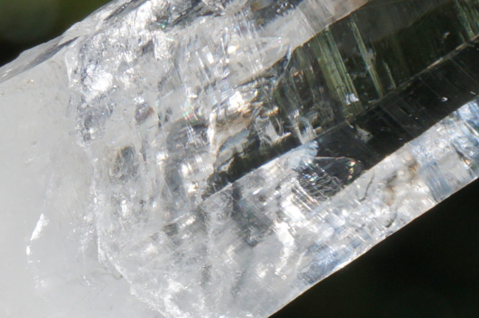 muzo-columbia-lemurain45