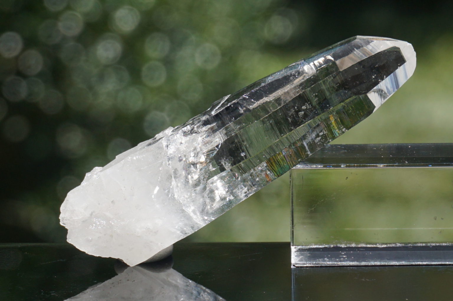 muzo-columbia-lemurain45