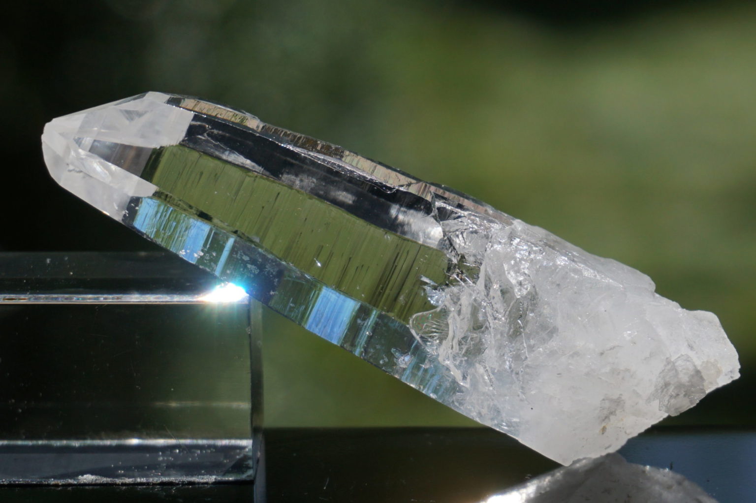 muzo-columbia-lemurain45