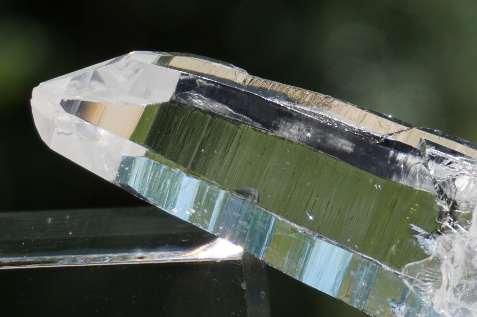 muzo-columbia-lemurain45