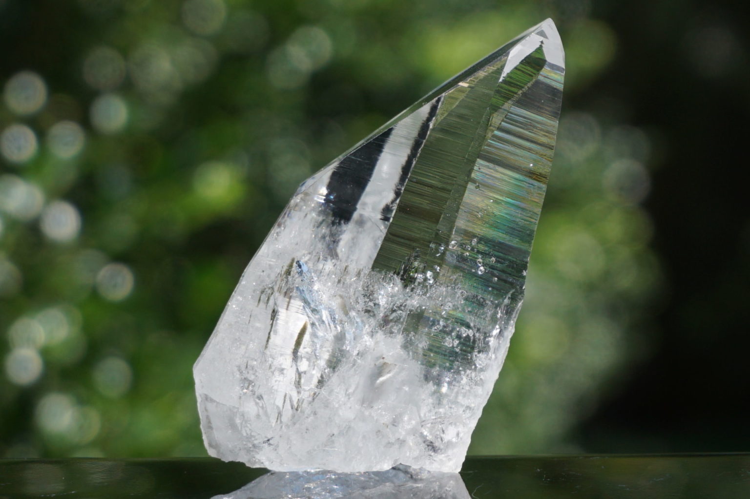 muzo-columbia-lemurain46