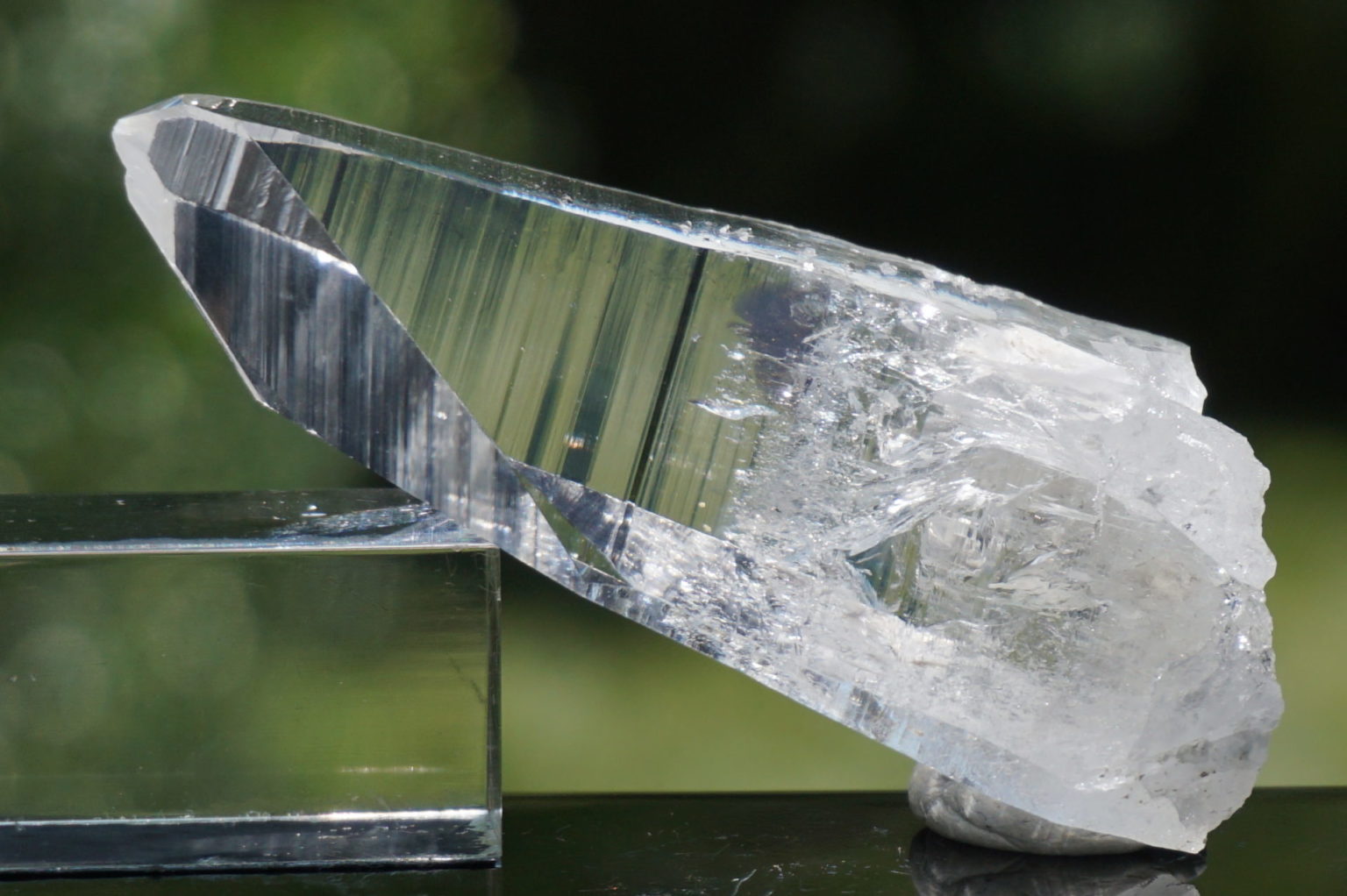 muzo-columbia-lemurain46