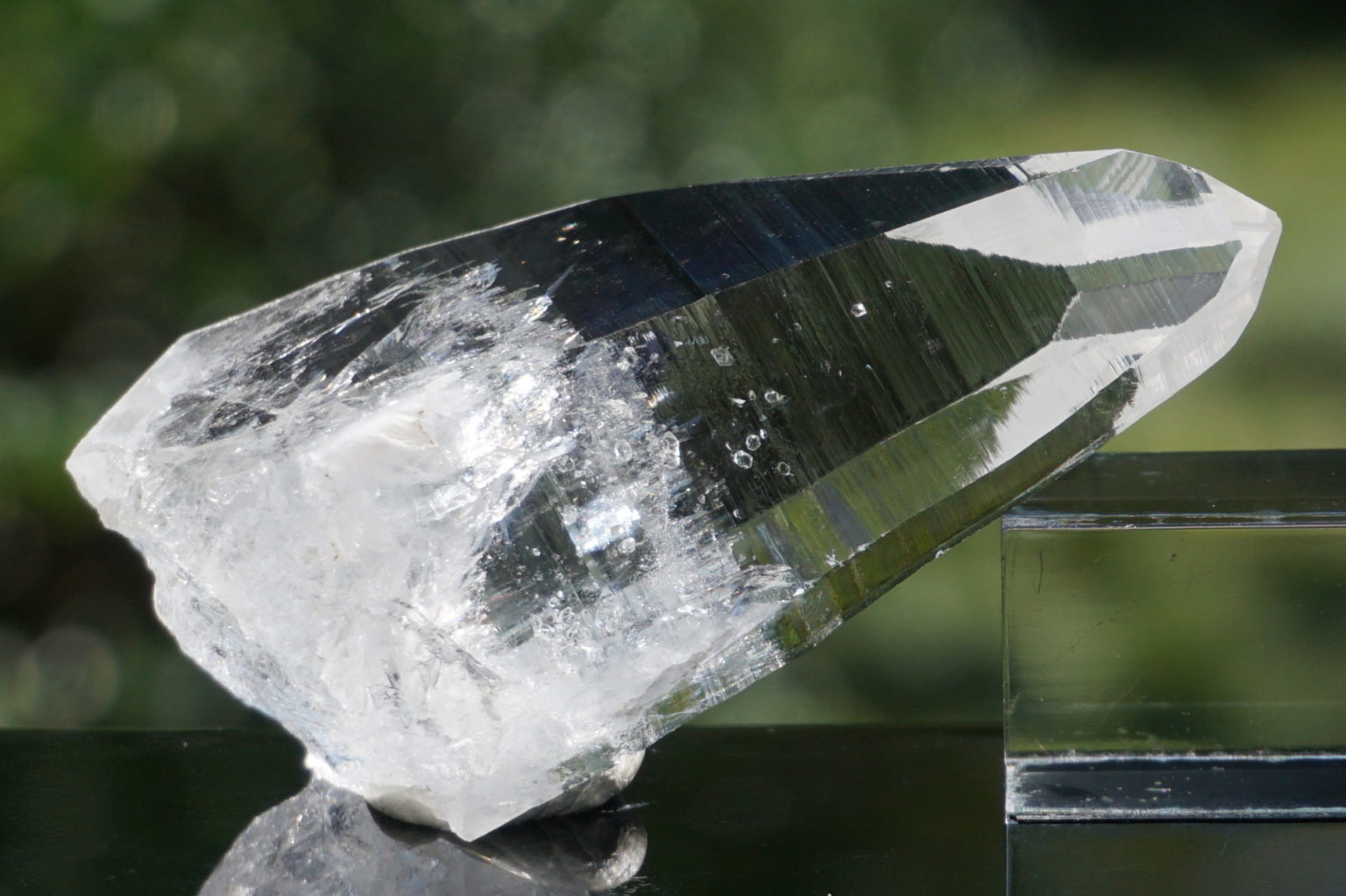 muzo-columbia-lemurain46