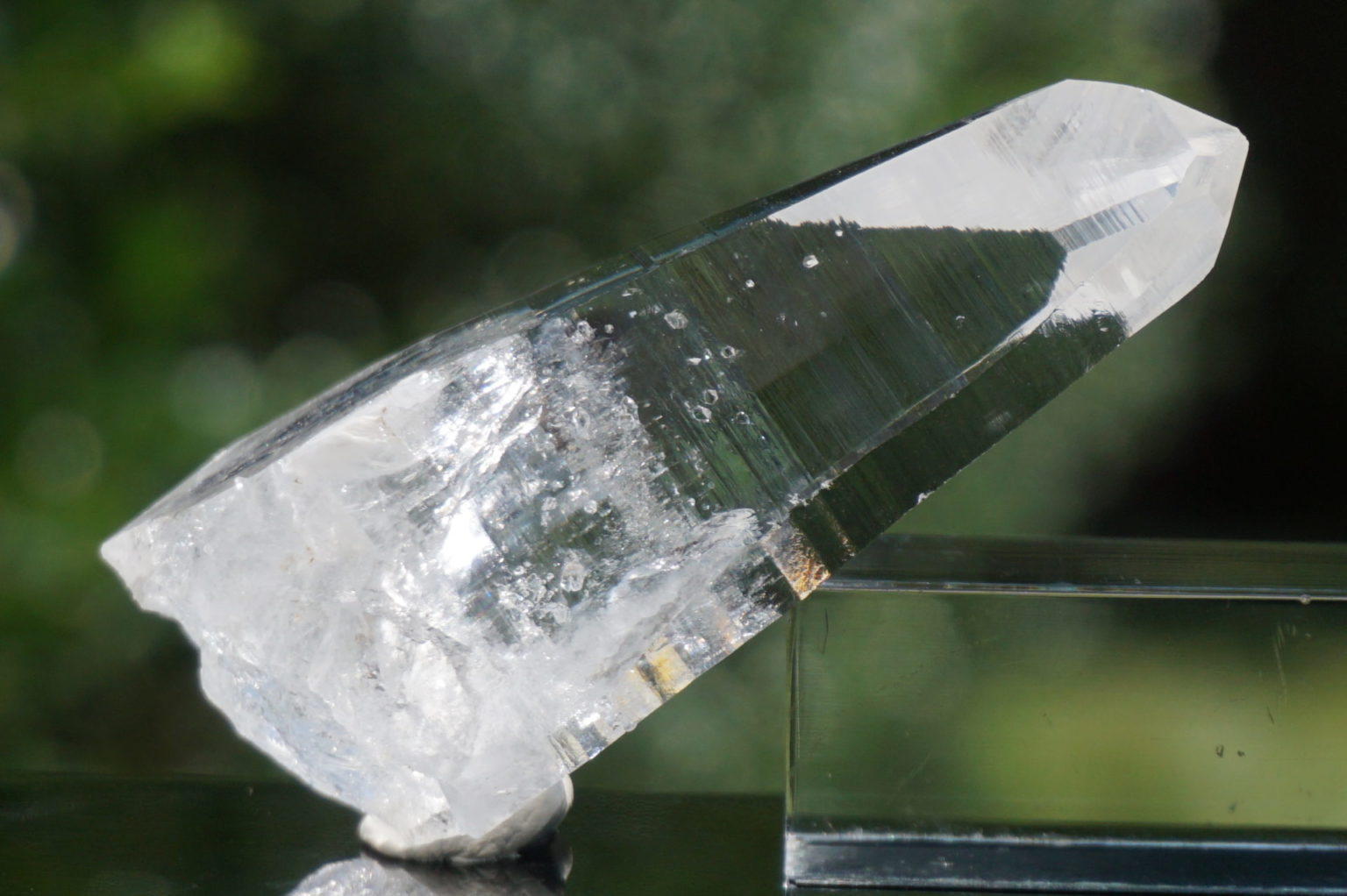 muzo-columbia-lemurain46