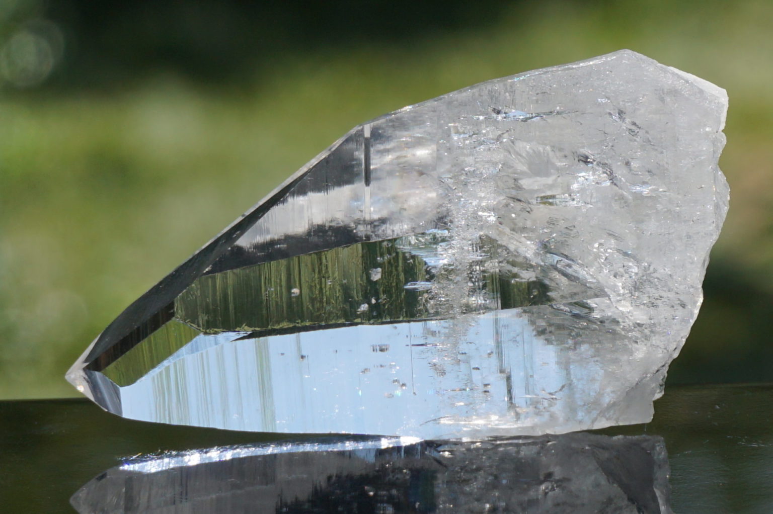 muzo-columbia-lemurain46