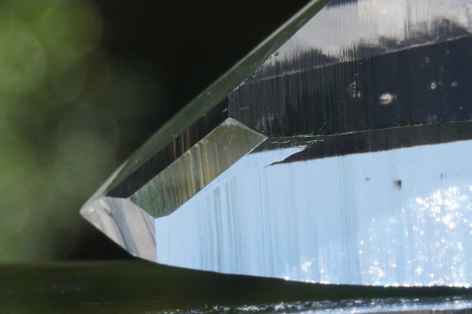 muzo-columbia-lemurain46