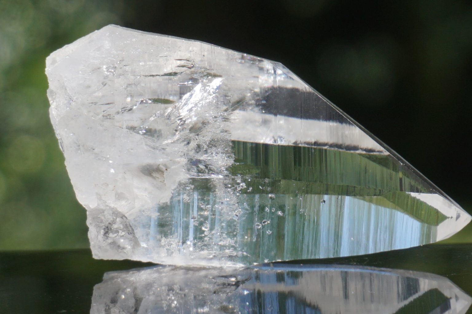 muzo-columbia-lemurain46