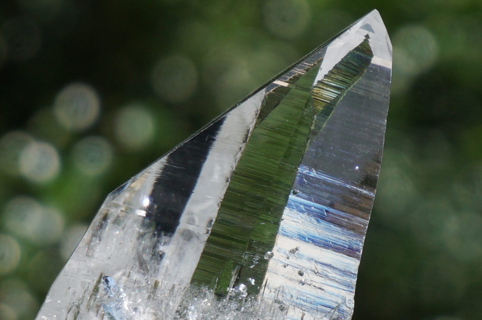 muzo-columbia-lemurain46