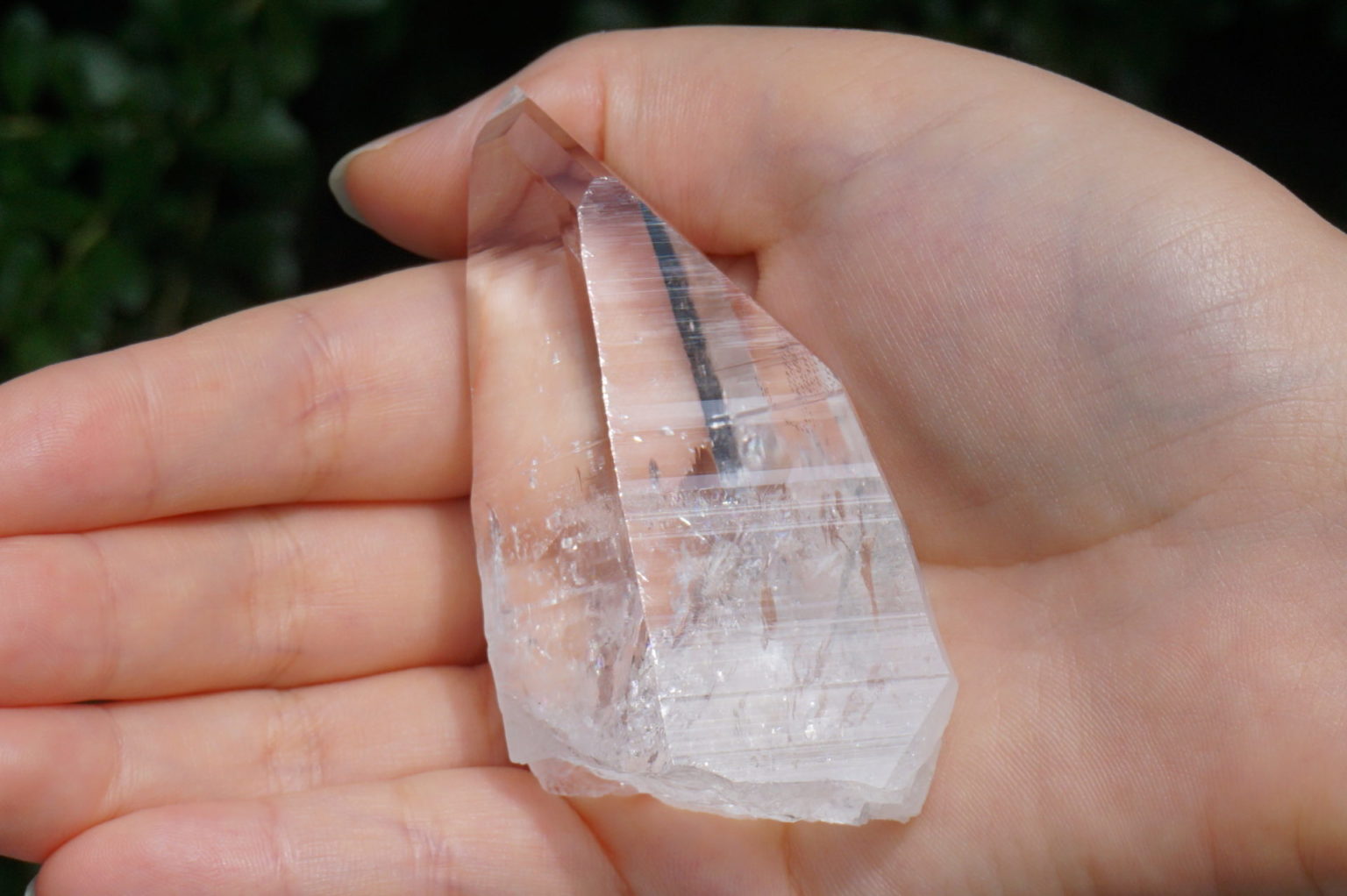 muzo-columbia-lemurain46