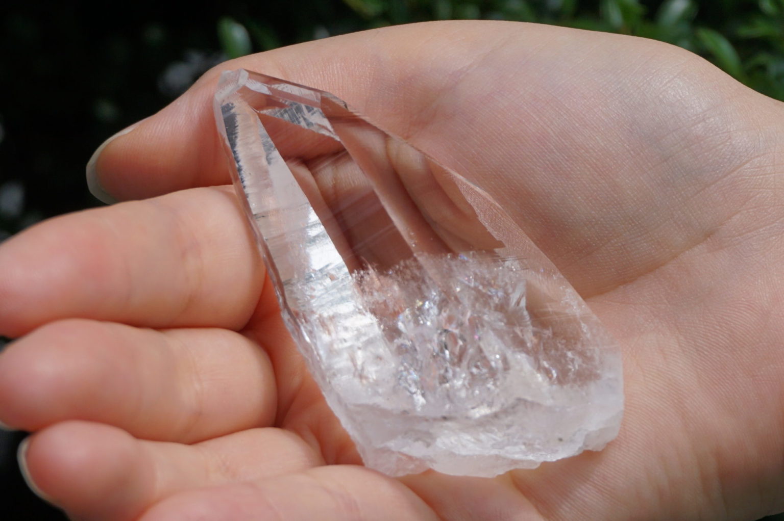 muzo-columbia-lemurain46