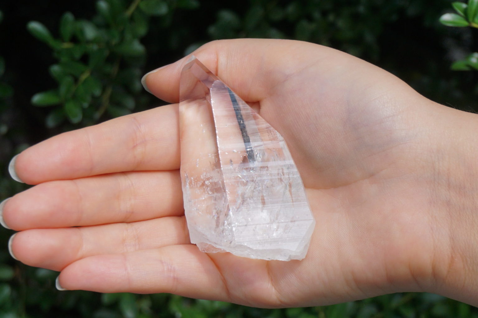 muzo-columbia-lemurain46