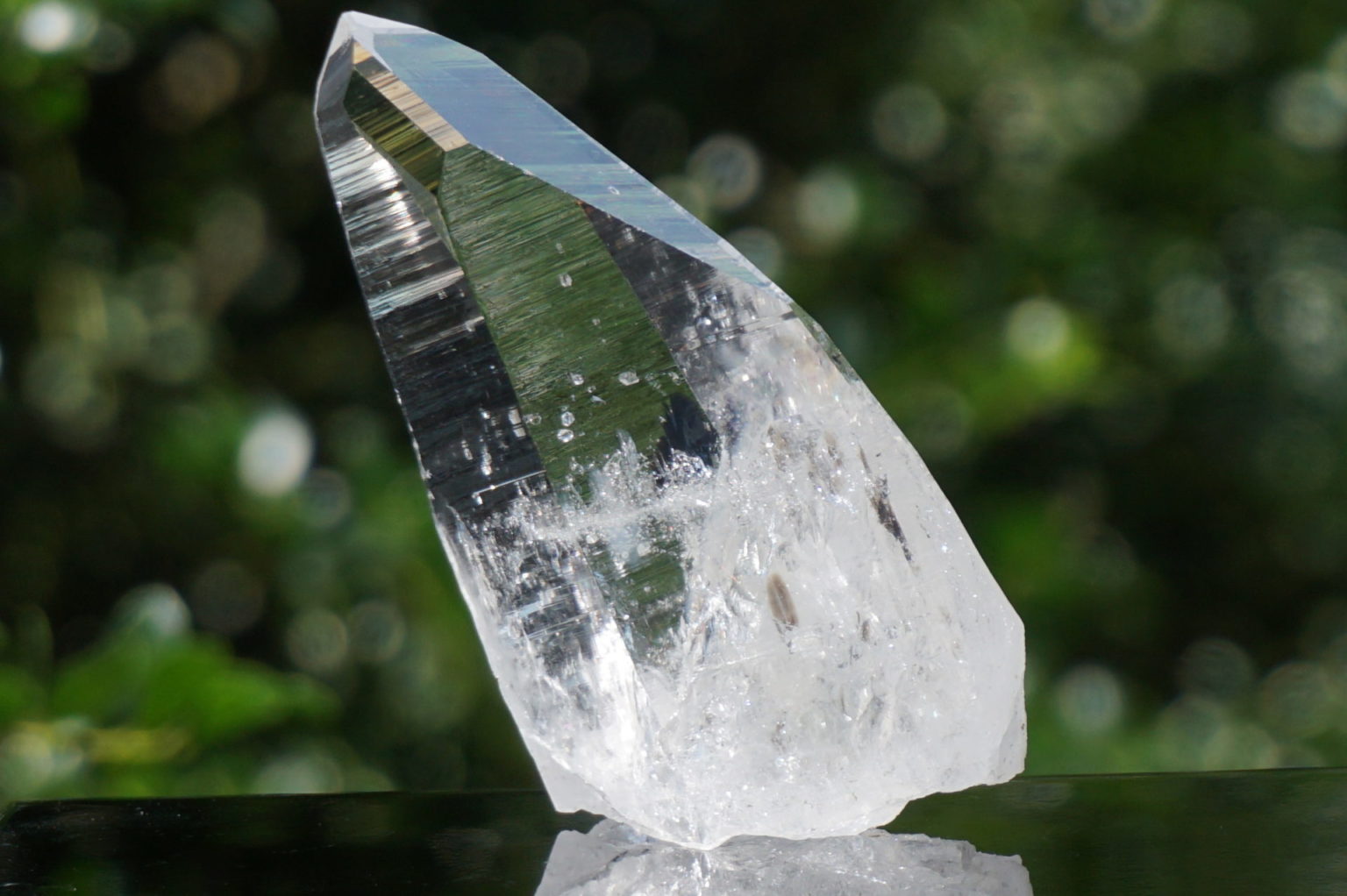 muzo-columbia-lemurain46