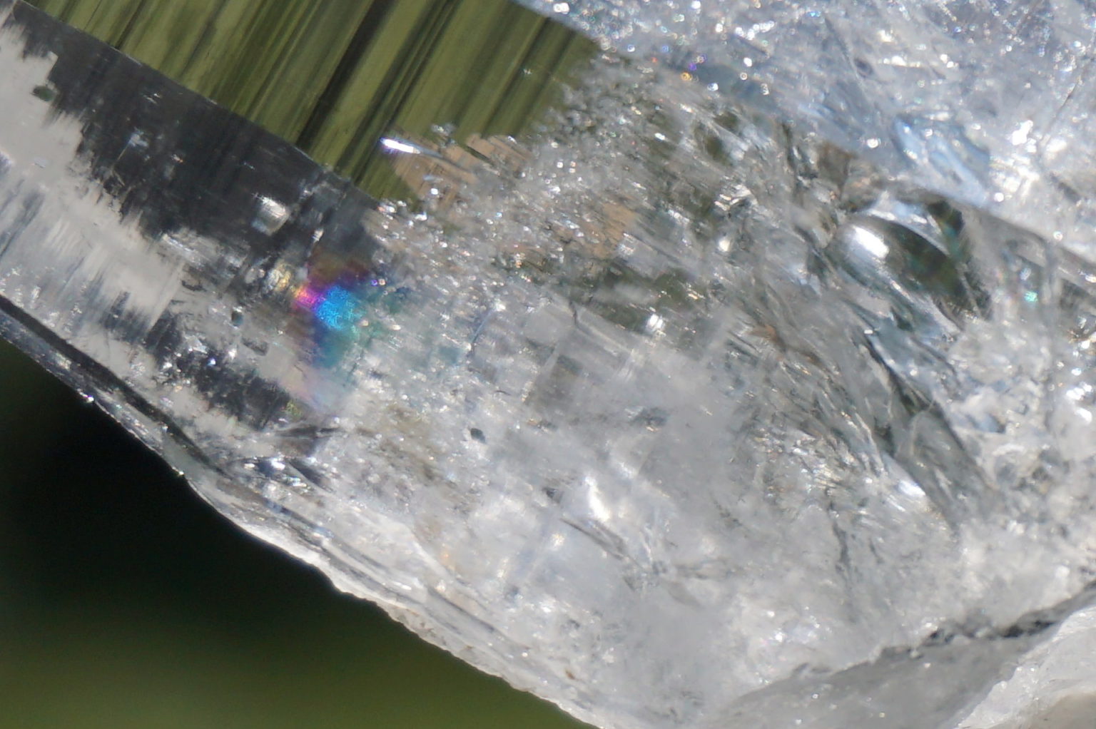 muzo-columbia-lemurain46