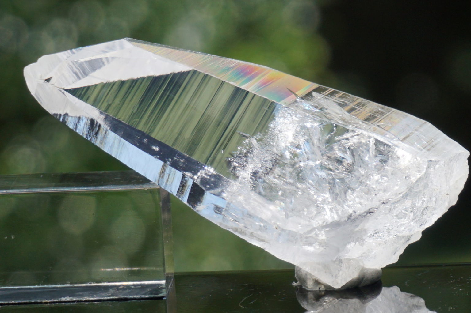 muzo-columbia-lemurain46