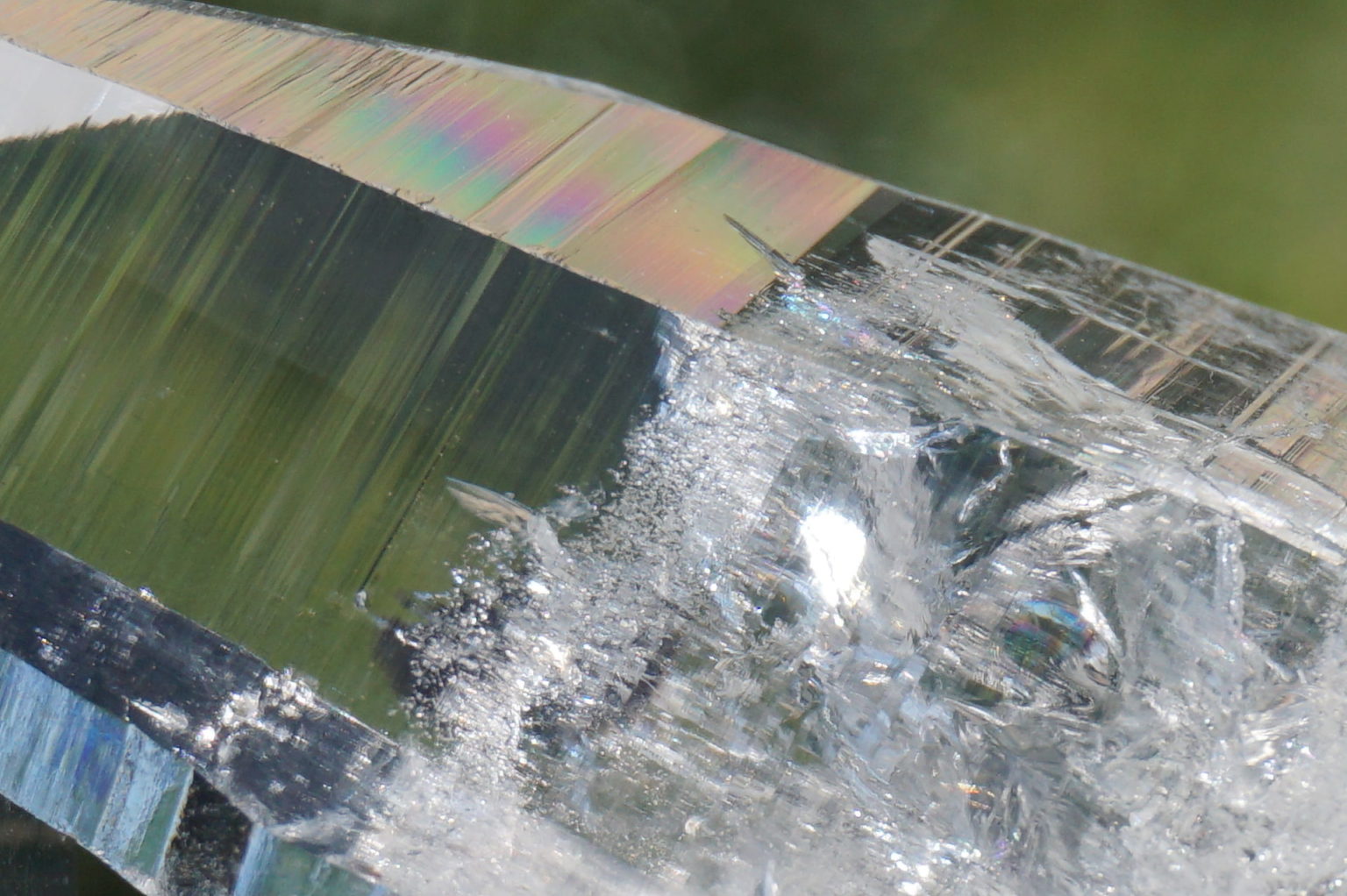 muzo-columbia-lemurain46