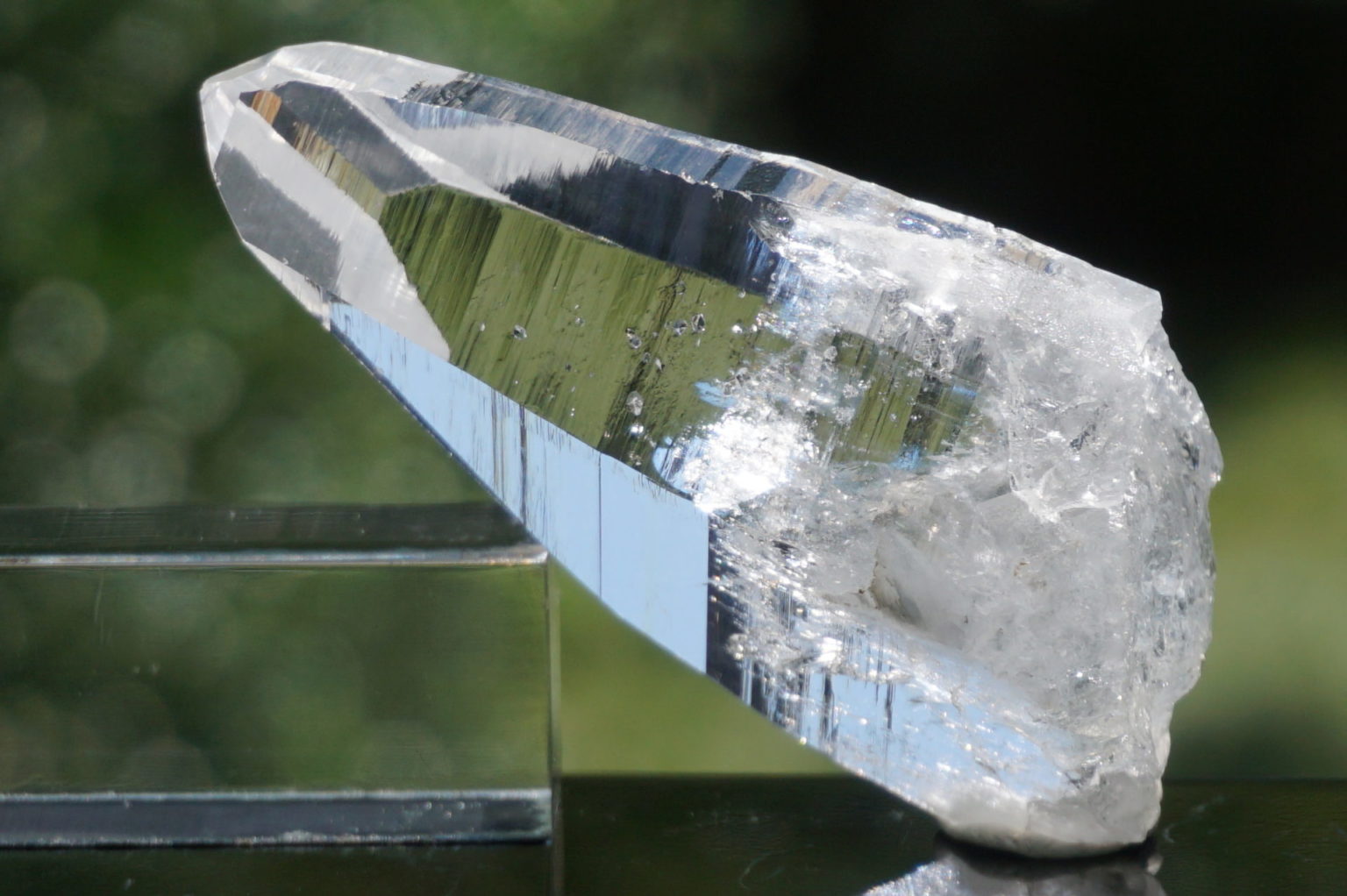 muzo-columbia-lemurain46