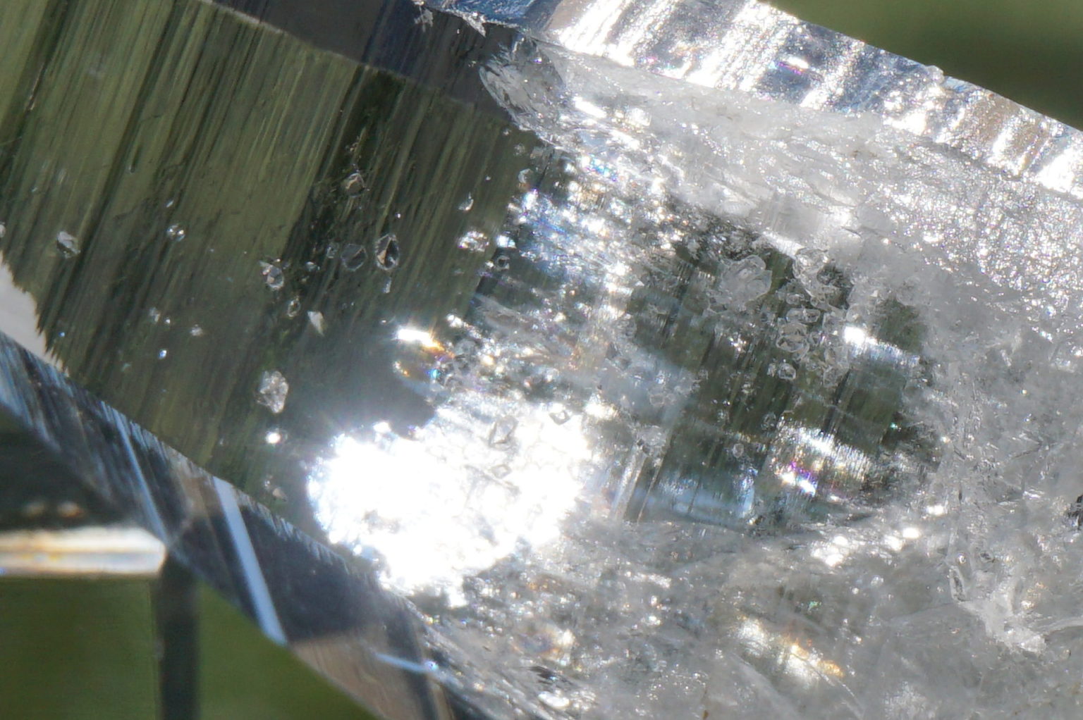 muzo-columbia-lemurain46