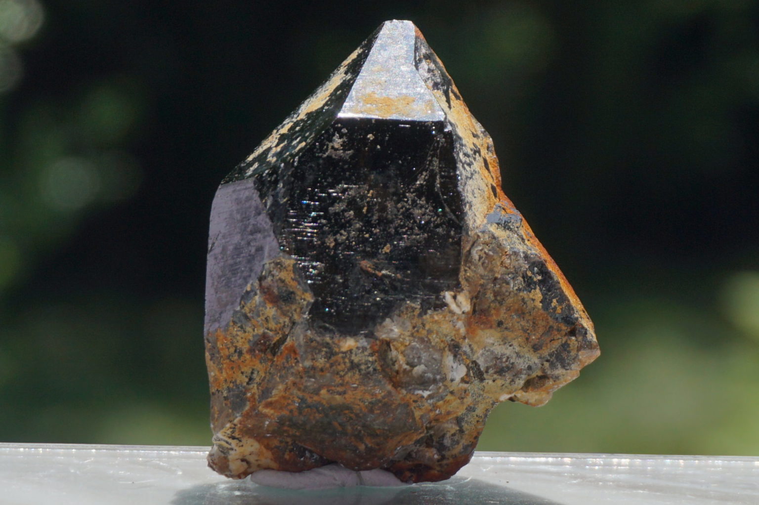 nakatsugawa-smokey85