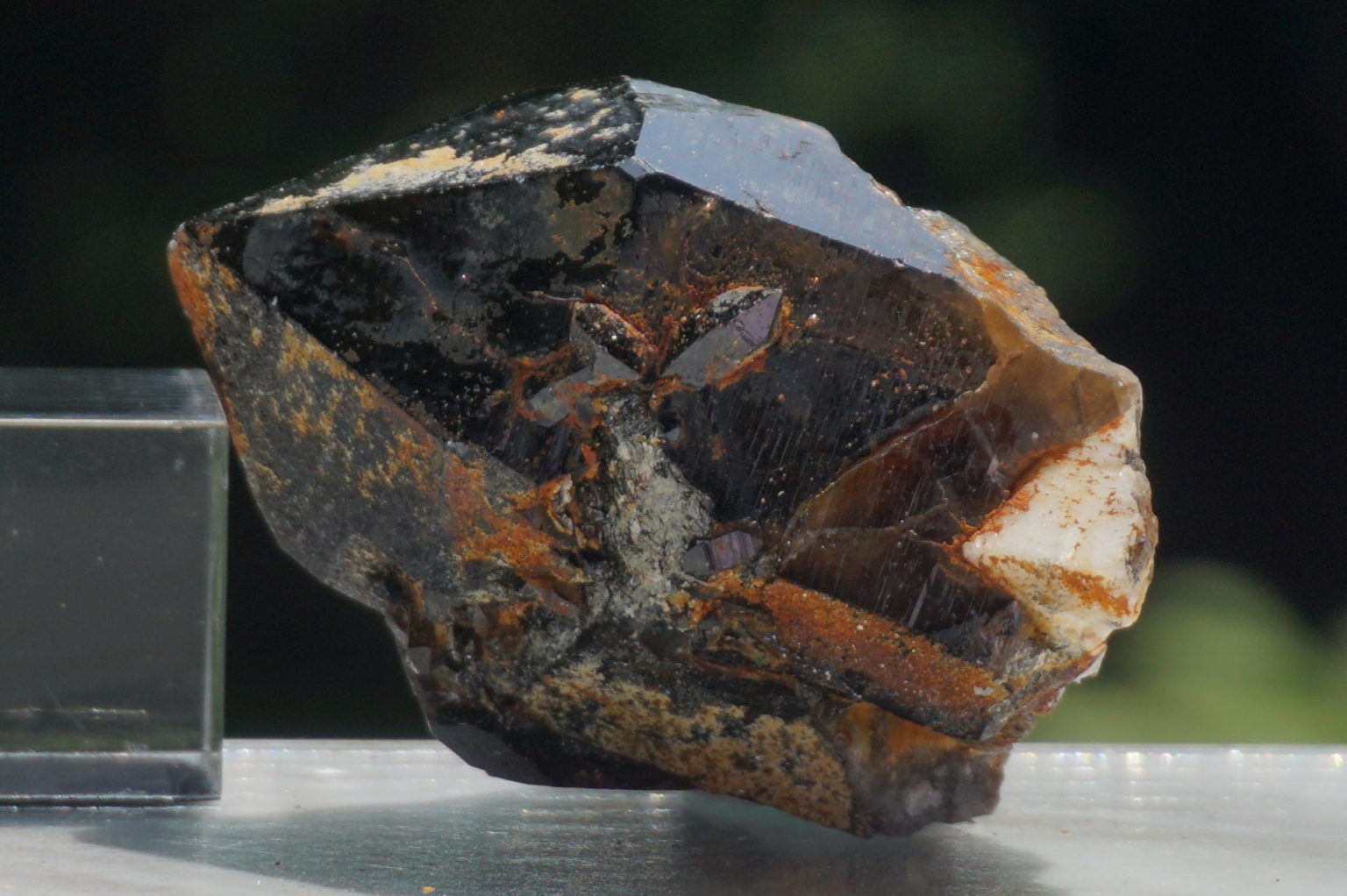 nakatsugawa-smokey85