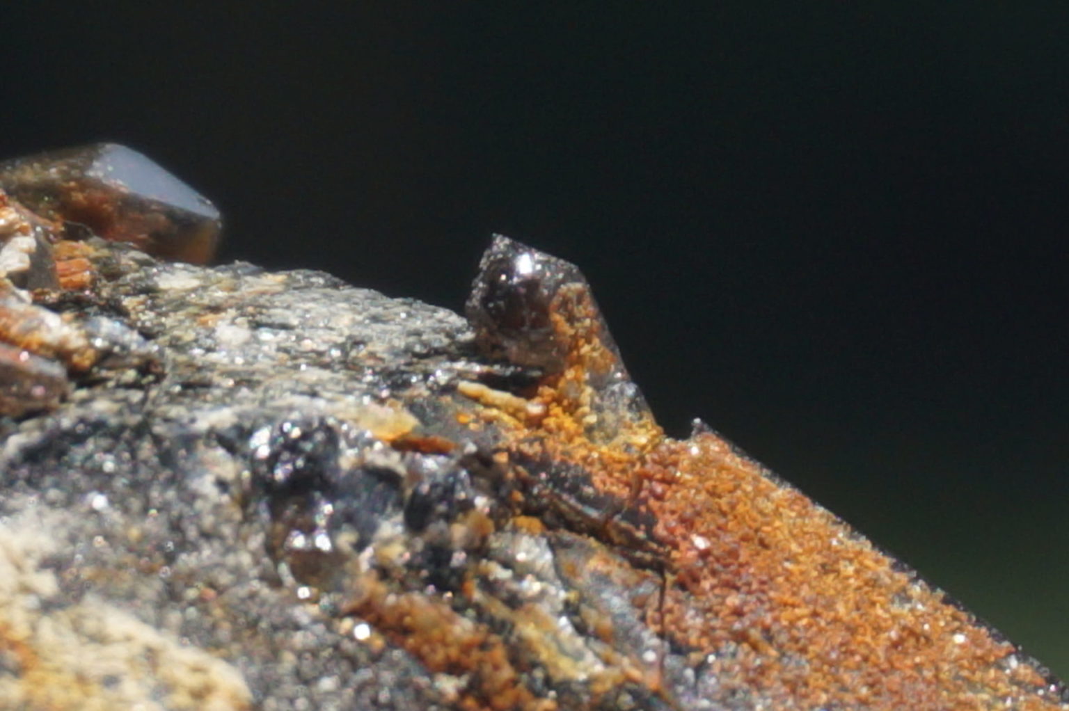 nakatsugawa-smokey85