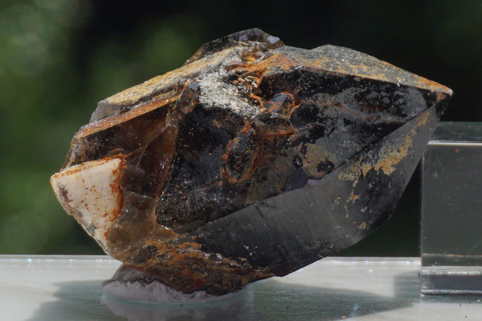 nakatsugawa-smokey85