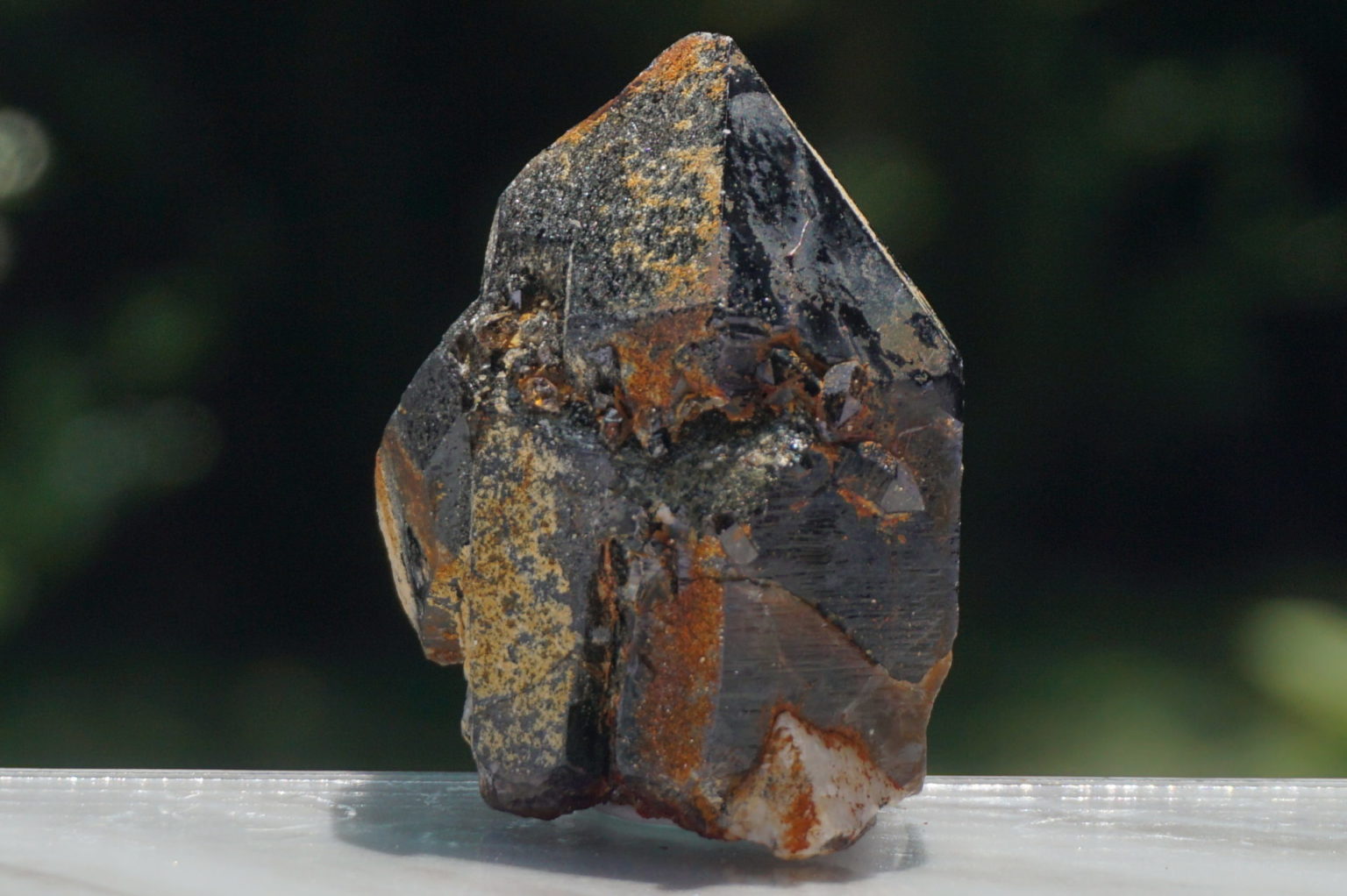 nakatsugawa-smokey85