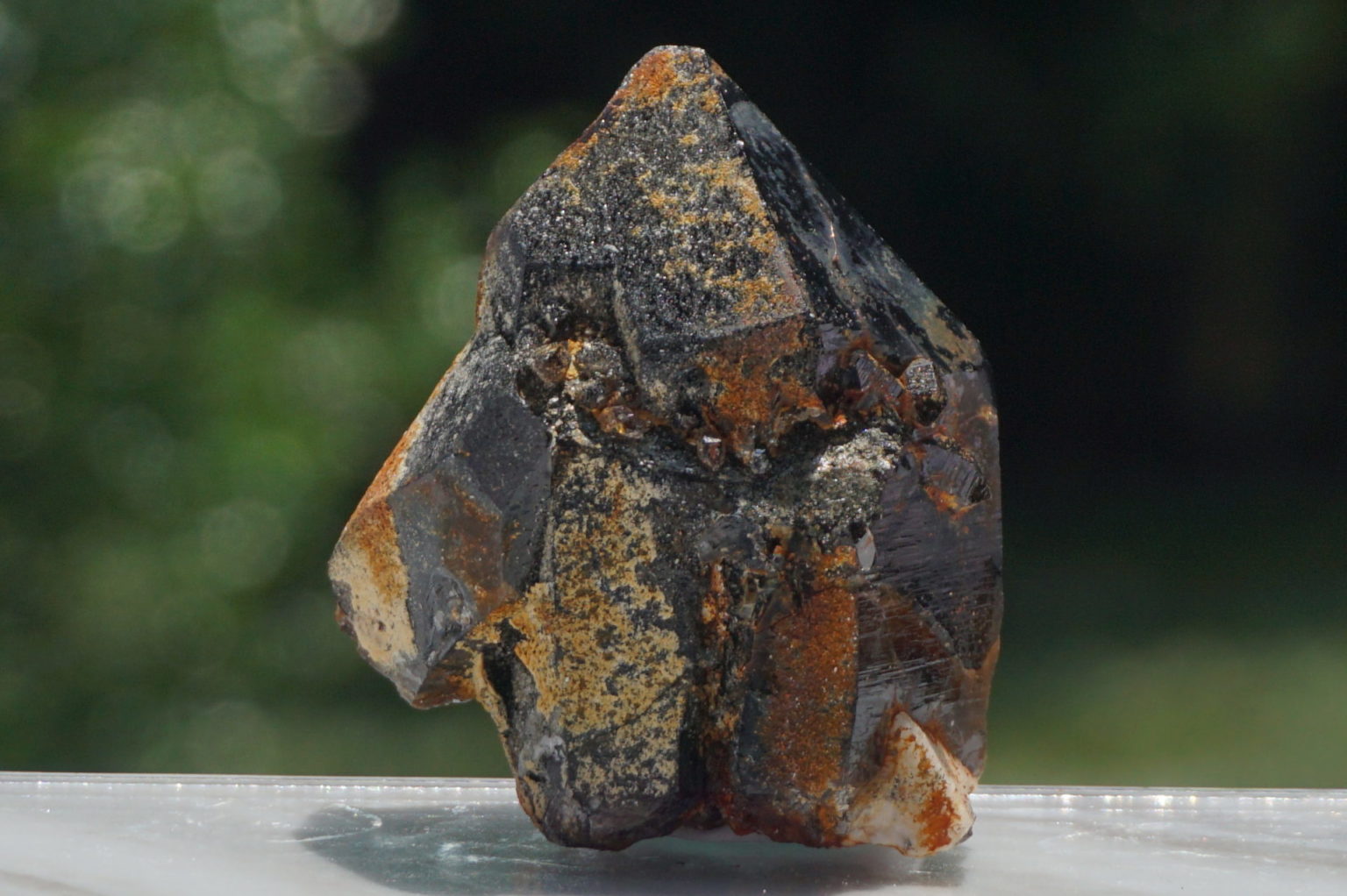 nakatsugawa-smokey85