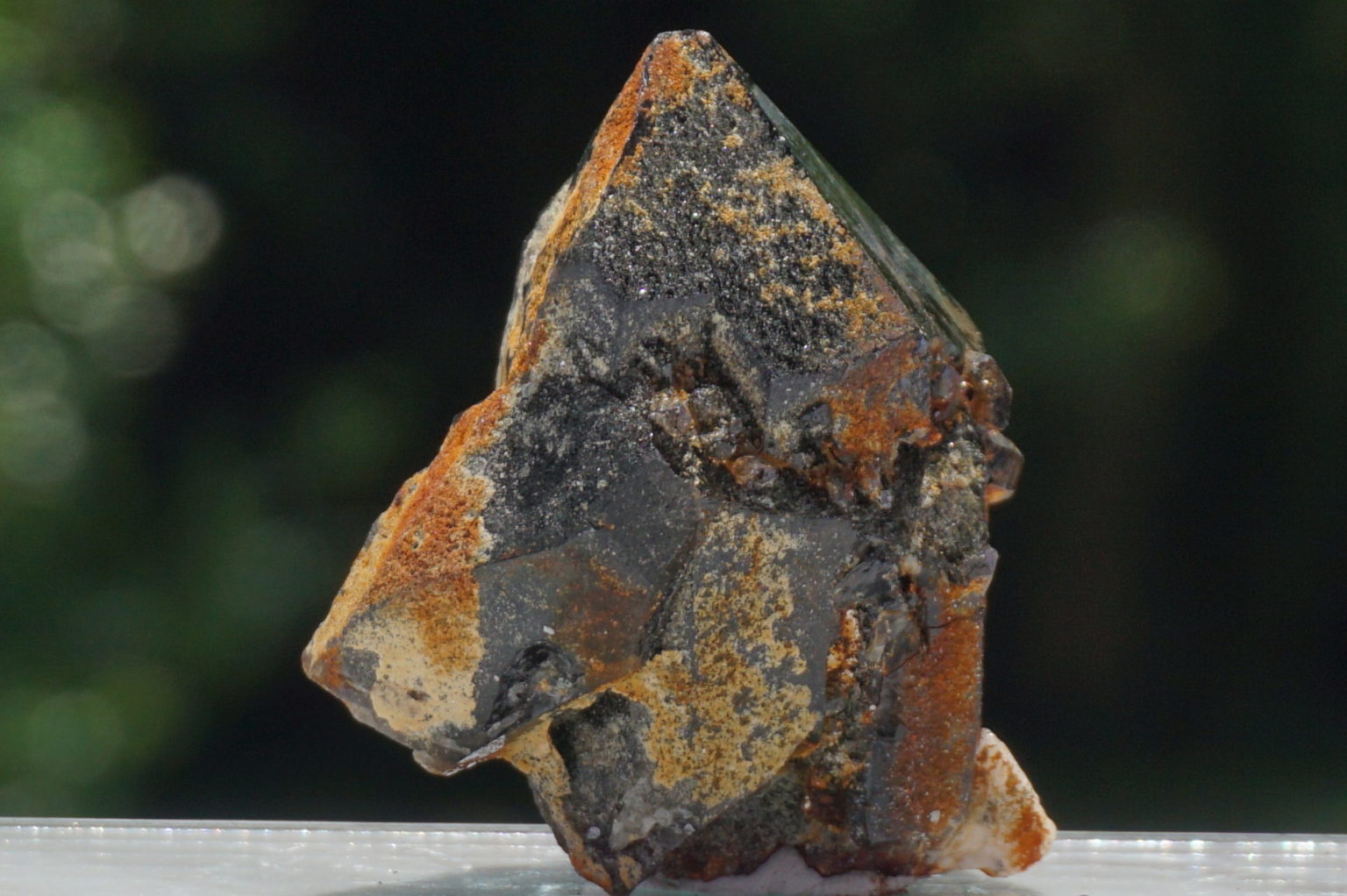 nakatsugawa-smokey85